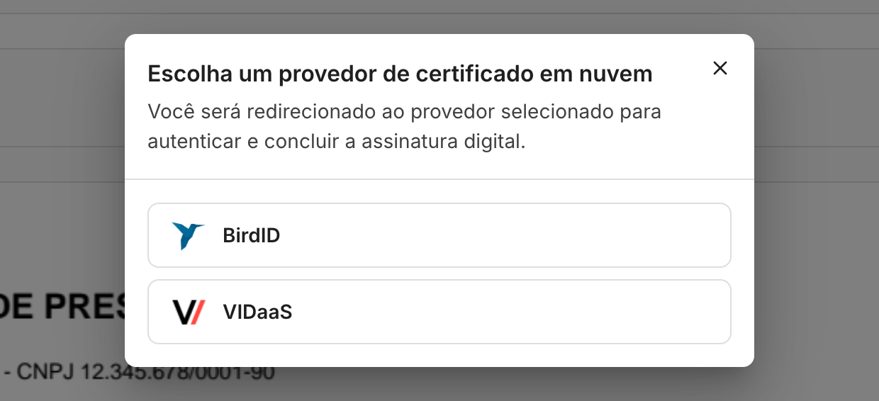Os provedores aparecem lado a lado. Escolha aquele em que você tem o certificado.