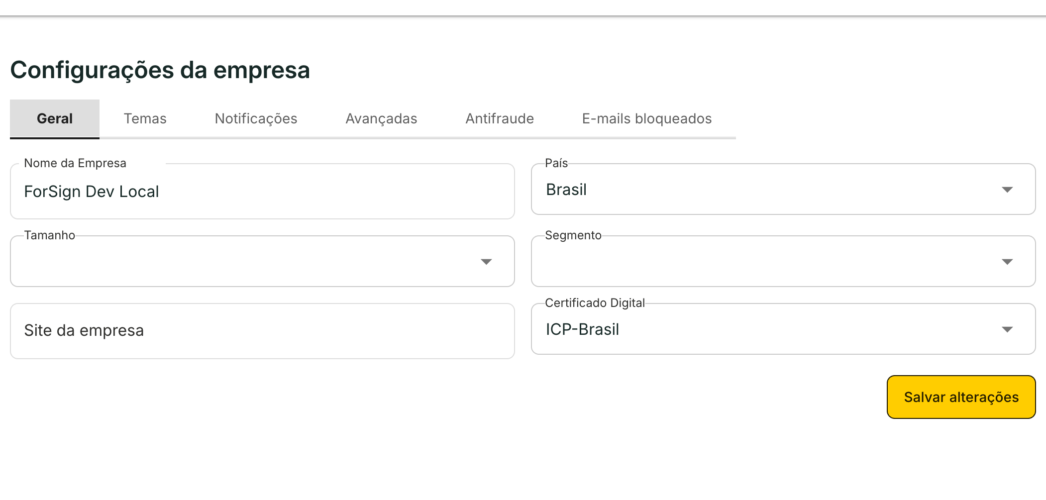 A aba Geral reúne os dados cadastrais da empresa.