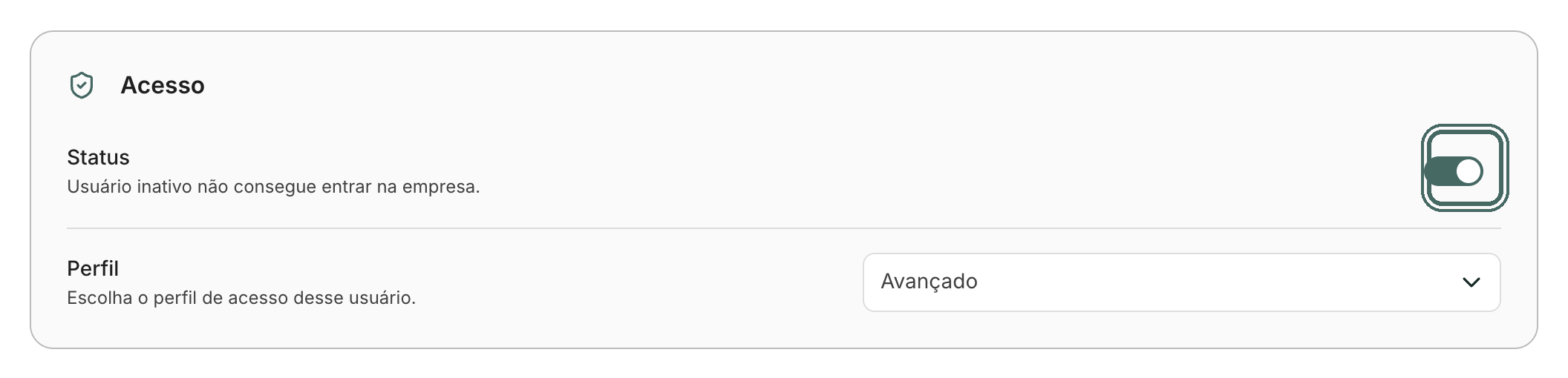 O bloco Acesso tem a chave Status, o Perfil e os grupos da pessoa.