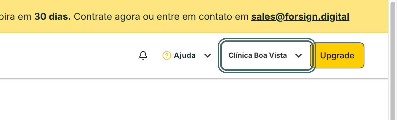 O nome da empresa em uso fica no topo da tela.