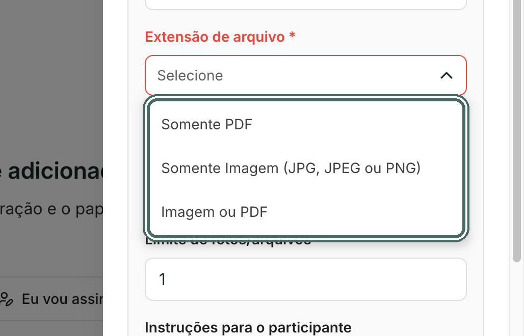 As três opções de Extensão de arquivo.