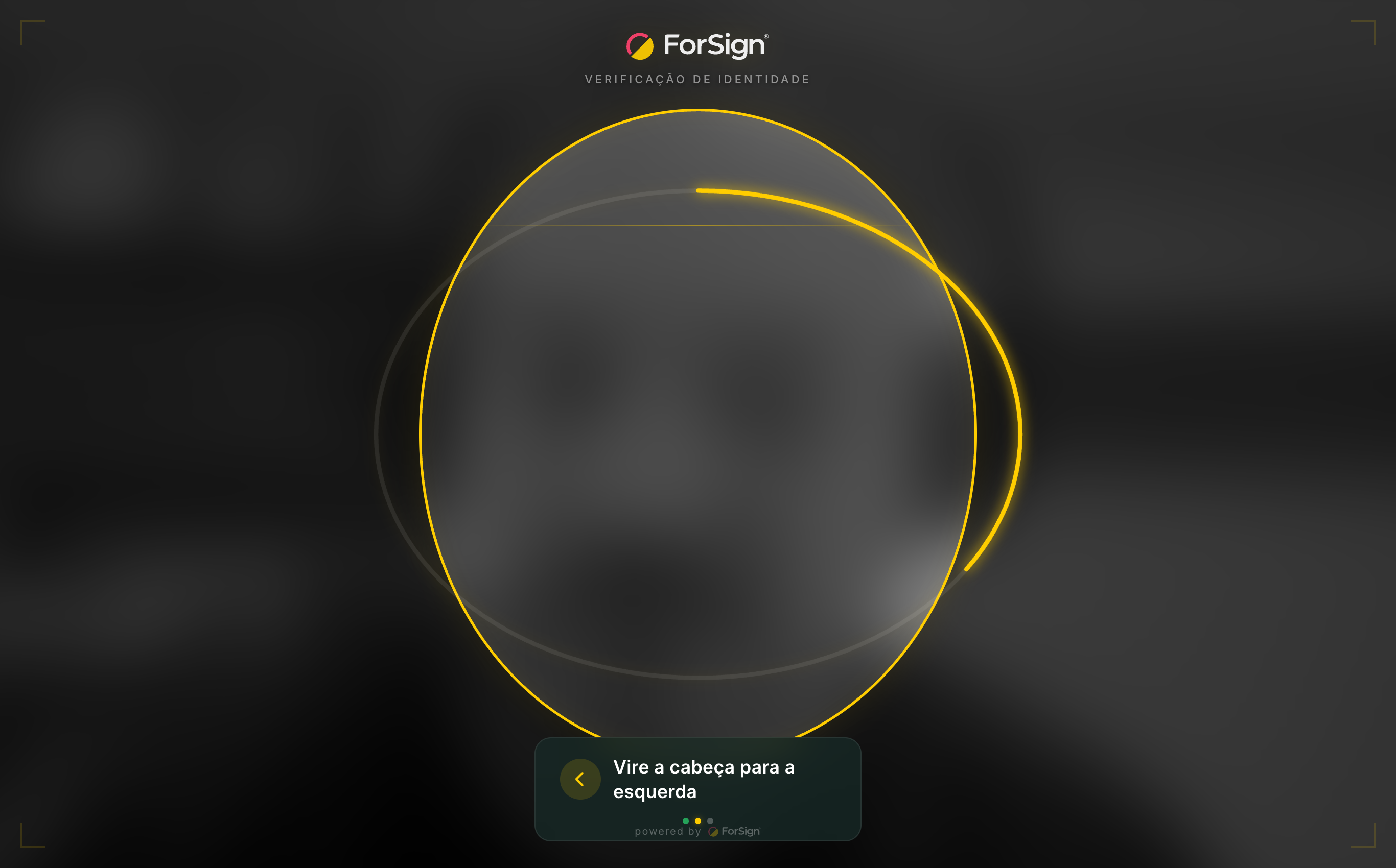 A câmera abre em tela cheia e as instruções aparecem sobre a imagem.