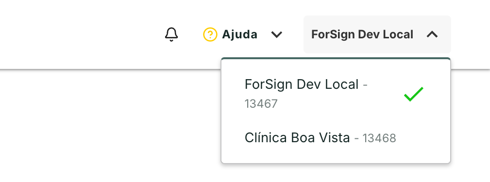 O nome da empresa no topo abre a lista para trocar de empresa.